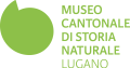 Logo_MCSN_green